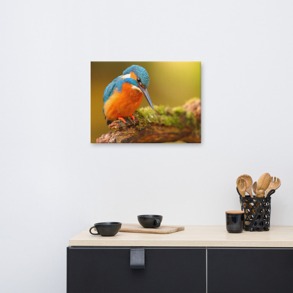 Kingfisher Bird on Perch 2 Animal Wildlife Photo Canvas Wall Art Prints, 18" X 24"