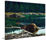 "Lowland Beaver" Painting Print on Wrapped Canvas