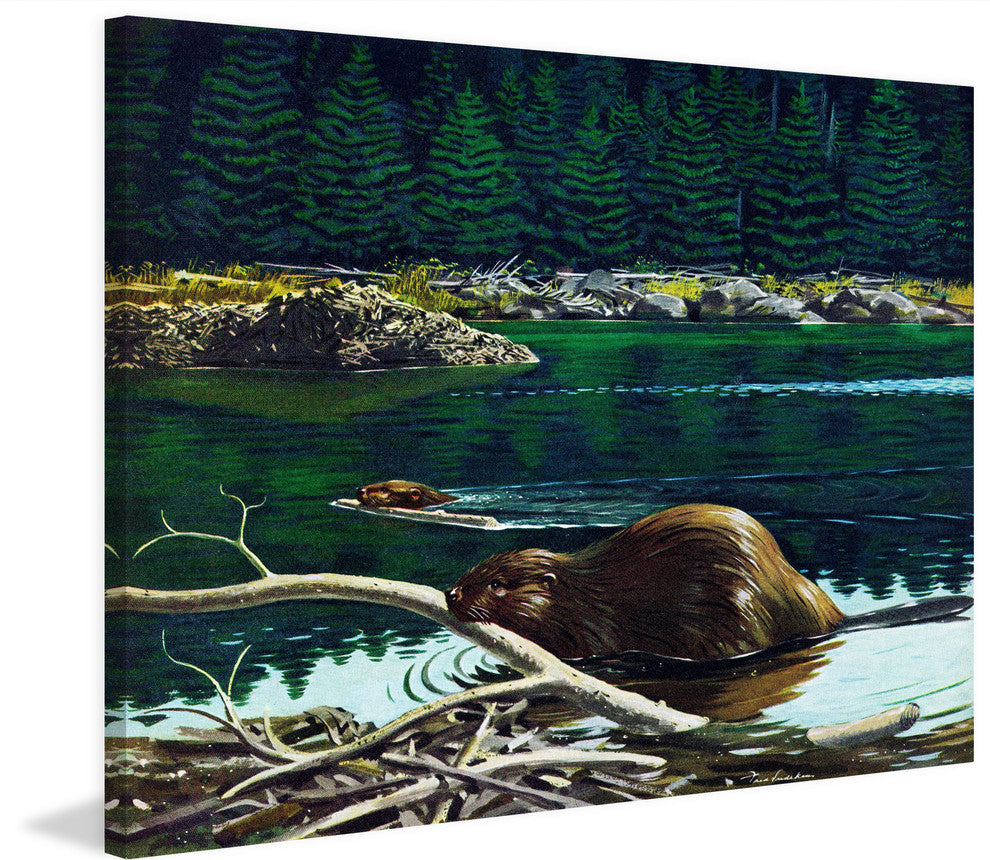 "Lowland Beaver" Painting Print on Wrapped Canvas