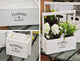 Flowers and Plants Painted White Planters, Set of 3