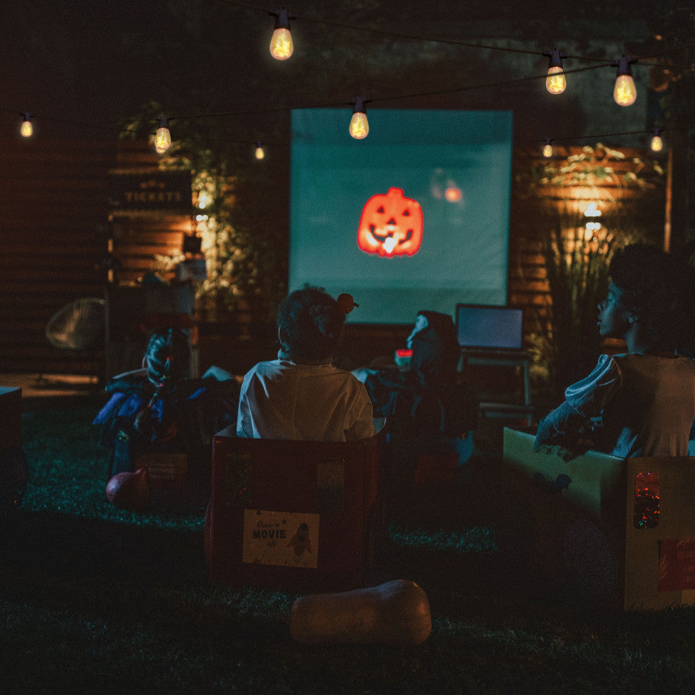 Solar Ambience Pro with Flaming, Flickering LED Bulbs, Nonhanging