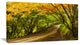 "Country Lane in Green Forest" Wall Art Landscape, 32"x16"