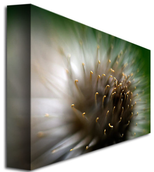 'Wild Thing' Canvas Art by Lois Bryan