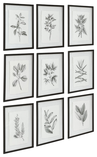 Uttermost Farmhouse Florals Framed prints, 9-Piece Set