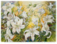 Joanne Porter 'White Lilies' Canvas Art, 47"x35"