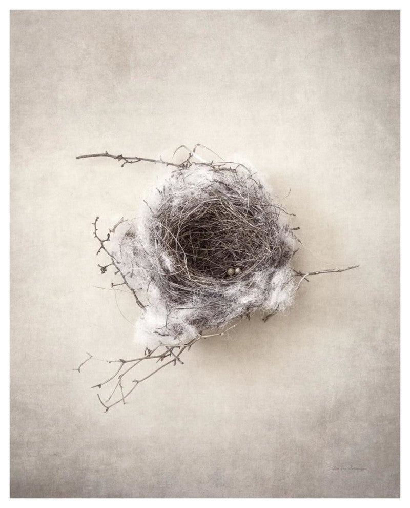 "Nest III" Digital Paper Print by Debra Van Swearingen, 24"x30"