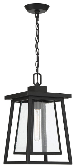 Denver 1-Light Outdoor Hanging Lantern, Matte Black