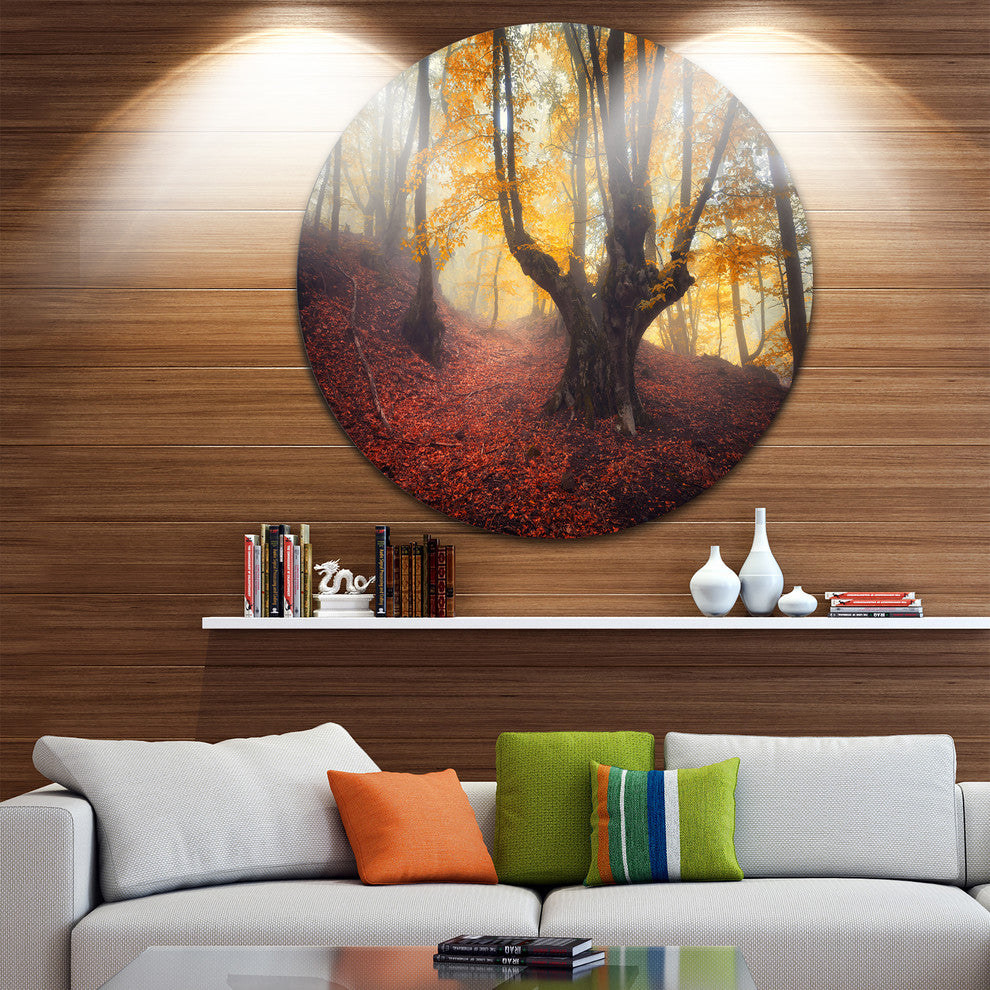 Dark Old Yellow Forest, Landscape Photo Round Metal Wall Art, 11"