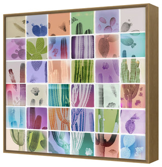Analog Cacti Fine Art Print, Oak, 40"x40"