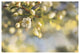 "Blush Blossoms II" Digital Paper Print by Sue Schlabach, 38"x26"