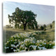 "Oak Tree - 89" By Alan Blaustein, Giclee Print on Gallery Wrap Canvas