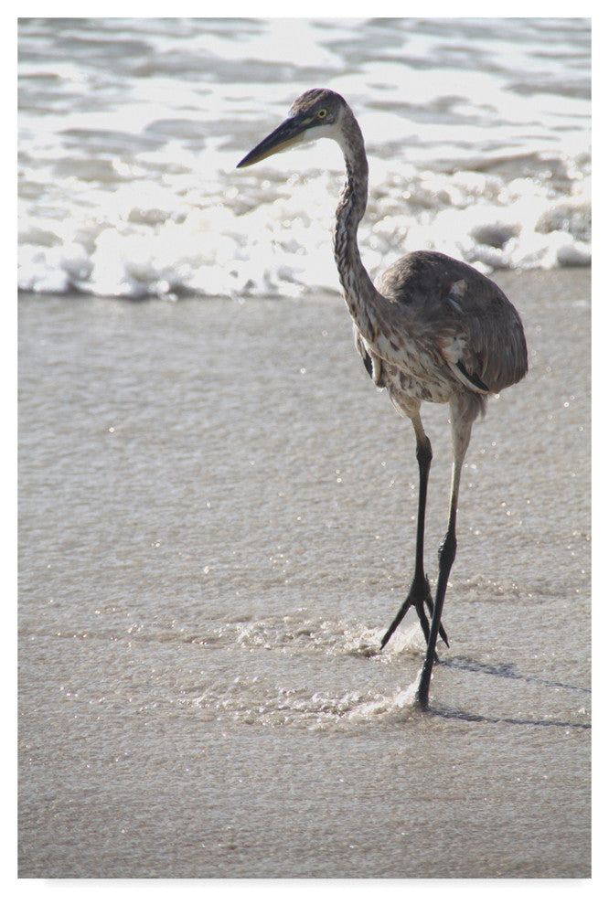 "Great Blue Heron Beach" by Robert Michaud, Canvas Art