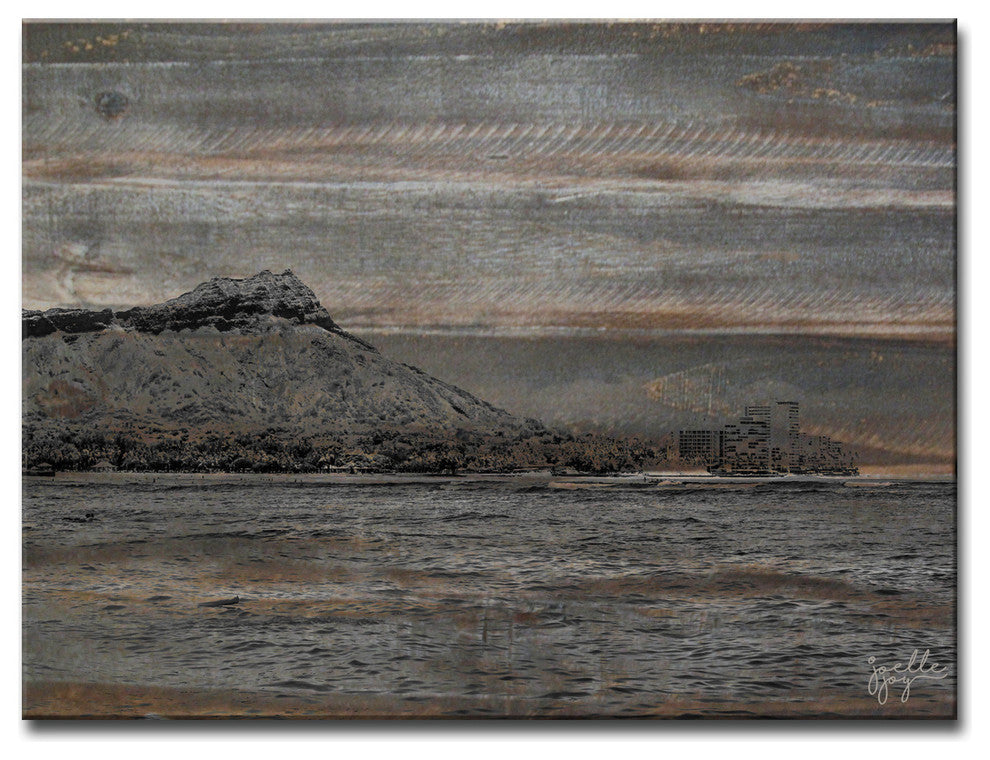Hawaiian Air' Canvas Art Print, 20"x30"