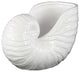 Ceramic Nautilus Seashell Sculpture, White