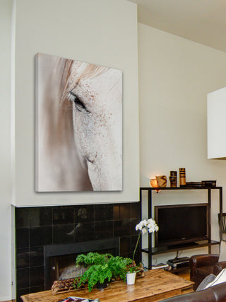 "Gentle Eye" Painting Print on Canvas