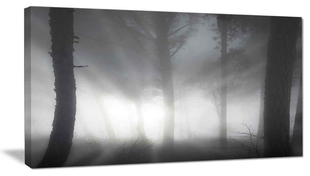 "Forest in Heavy Autumn Mist" Landscape Photo Wall Art, 32"x16"