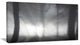 "Forest in Heavy Autumn Mist" Landscape Photo Wall Art, 32"x16"
