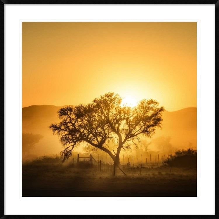 "Golden Sunrise" Framed Digital Print by Piet Flour, 38"x38"