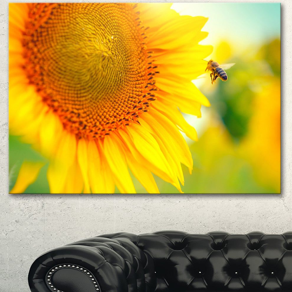 Beautiful Sunflowers Blooming, Large Animal Canvas Art Print, 60"x28"