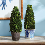 Boxwood Cone Topiary Drop-In, 16"