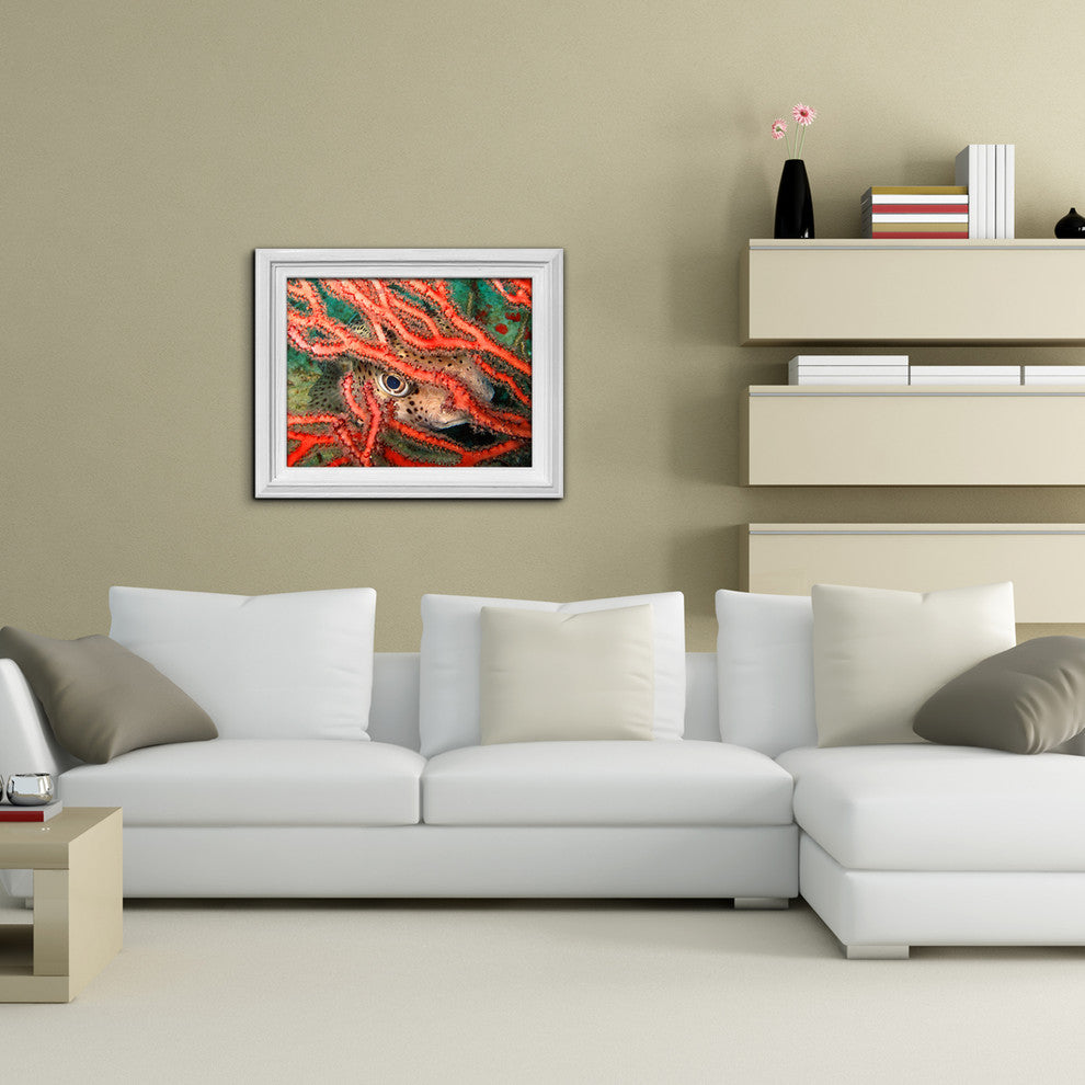 Ready2hangart Christopher Doherty Photography 'Underwater' Canvas Wall Art