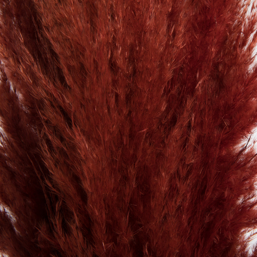 Vickerman 46" Dried Pampas Grass, Bordeaux