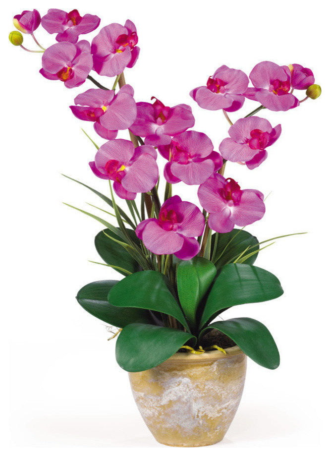 Double Stem Phalaenopsis Silk Orchid Arrangement, Orchid