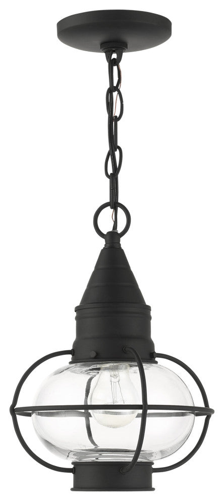 Black Nautical, Farmhouse, Bohemian, Colonial, Outdoor Pendant Lantern