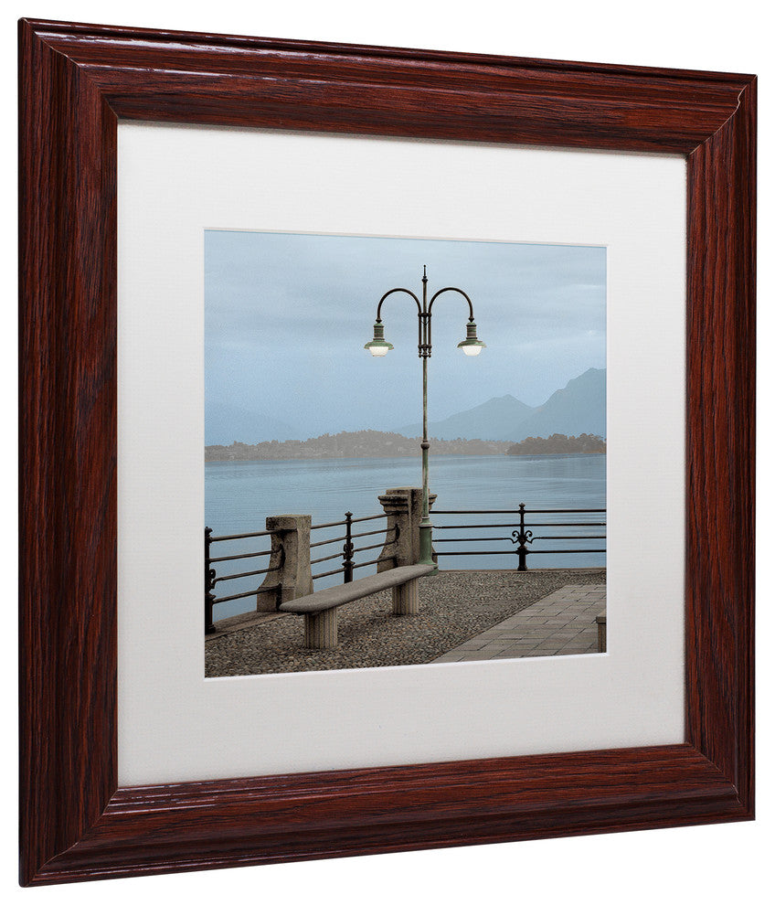 Alan Blaustein ''Lake Vista V'' Art, Wood Frame, White Mat, 11x11