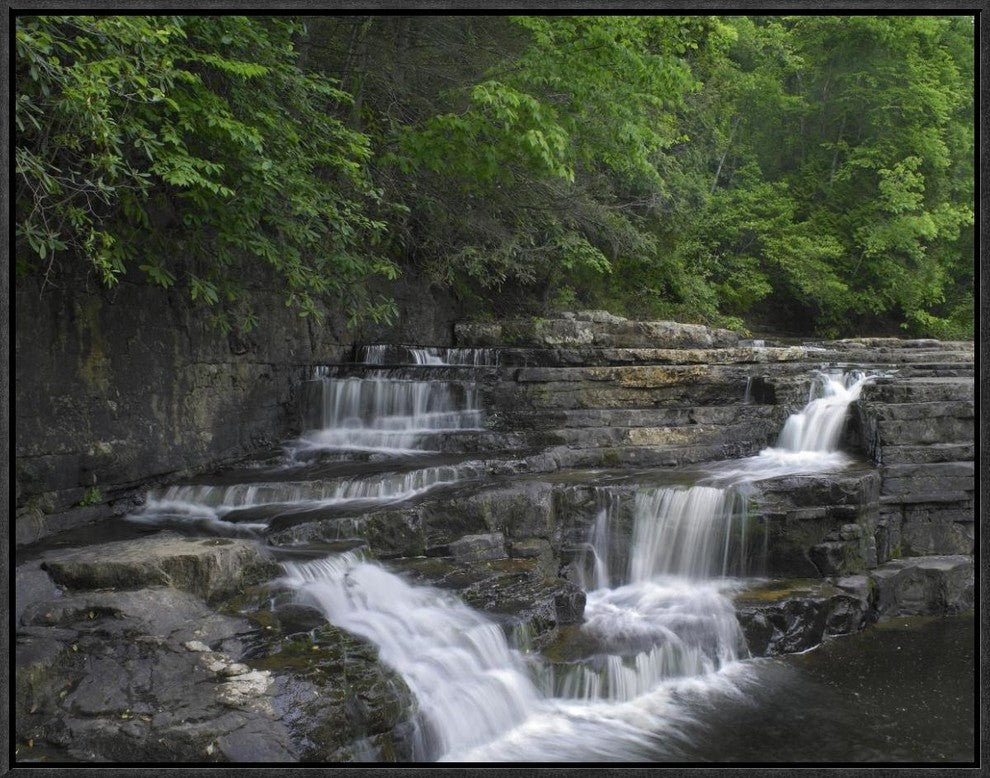 "Dismal Falls, Jefferson National Forest, Virginia"  by Tim Fitzharris, 25x19"