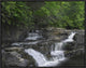 "Dismal Falls, Jefferson National Forest, Virginia"  by Tim Fitzharris, 25x19"