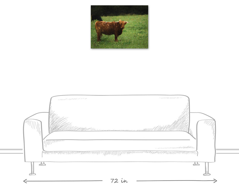 Hairy Brown Cow 24x18 Canvas