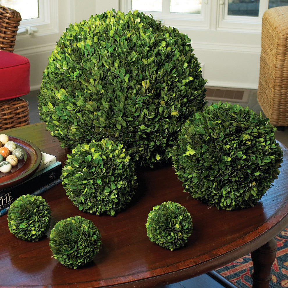 Boxwood Ball, 16"