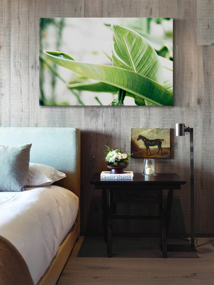 Marmont Hill, "Banana Leaves II" by Morgan Hartley on Wrapped Canvas, 30x20