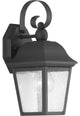 Kiawah 1-Light Small Wall Lantern
