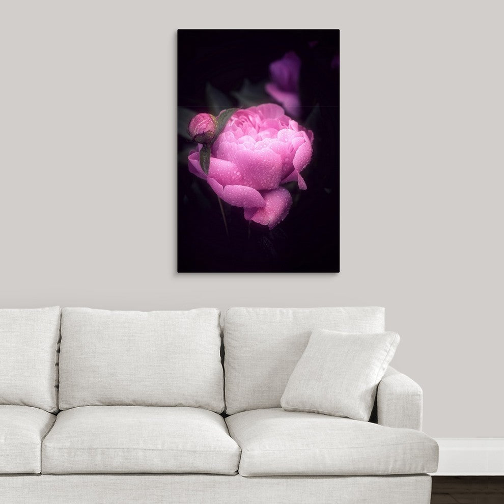 "Pink Peony" Wrapped Canvas Art Print, 24"x36"x1.5"