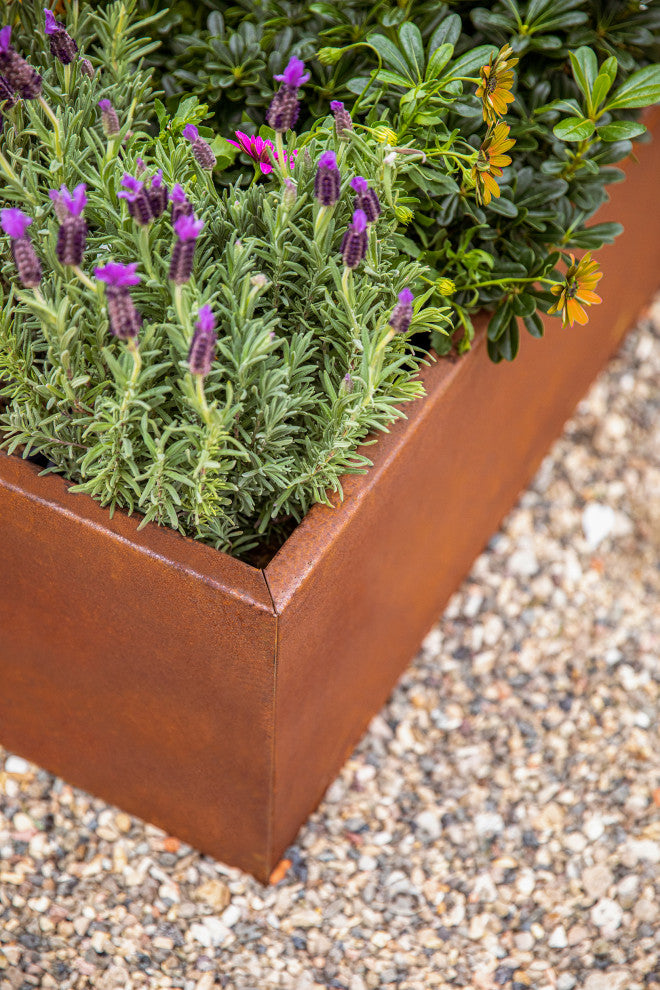 Metallic Series Corten Steel Raised Garden Bed