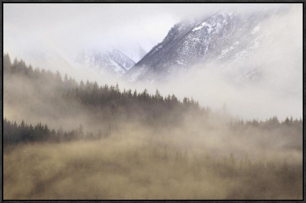 Fog In Old Growth Forest, Chilkat River Wilderness, Alaska, 36"x24"