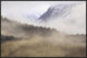 Fog In Old Growth Forest, Chilkat River Wilderness, Alaska, 36"x24"