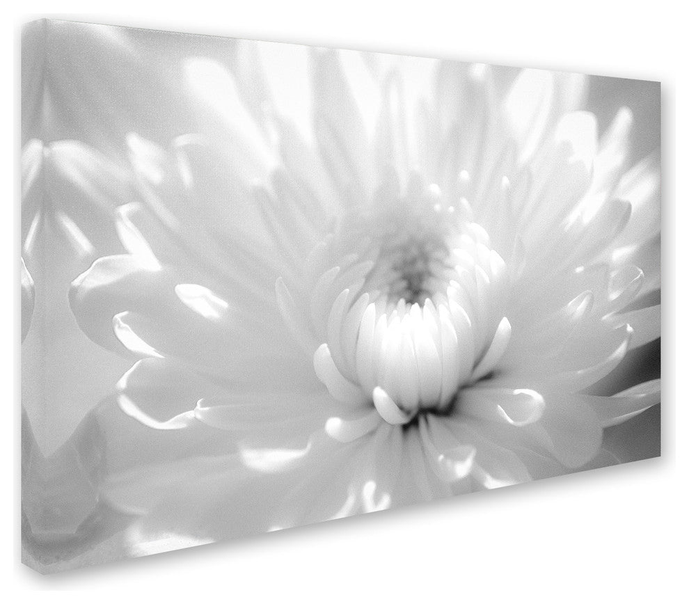PIPA Fine Art 'Infrared Flower 2' Canvas Art, 24x16