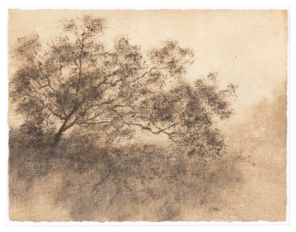 Hillside Haze X By Aileen Fitzgerald
