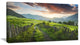Green Georgian Mountain Valley, Landscape Canvas Art Print, 40x20