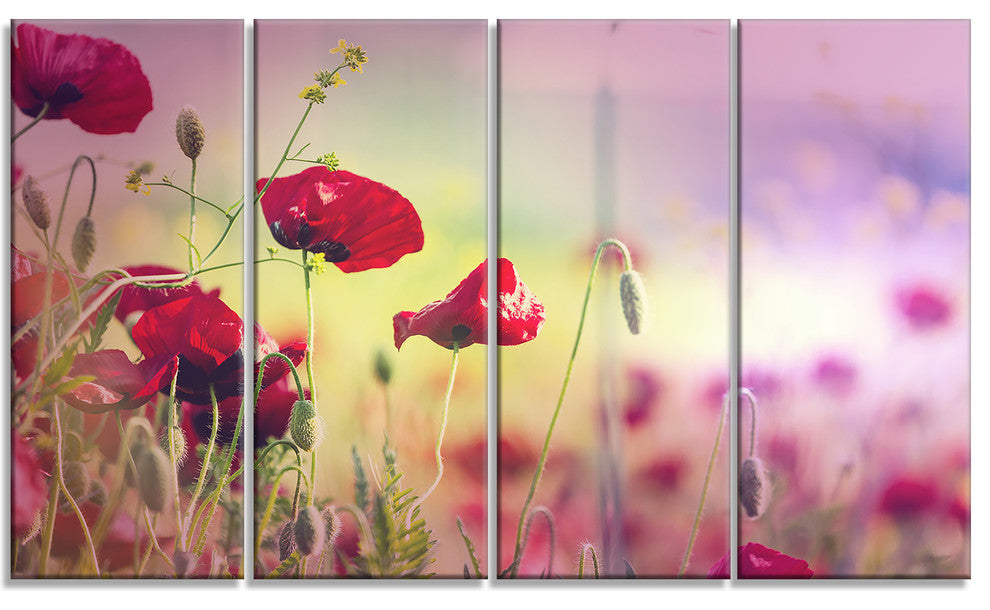 Beautiful Poppy Flower Garden, Floral Canvas Art Print, 48"x28", 4 Panels