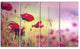 Beautiful Poppy Flower Garden, Floral Canvas Art Print, 48"x28", 4 Panels