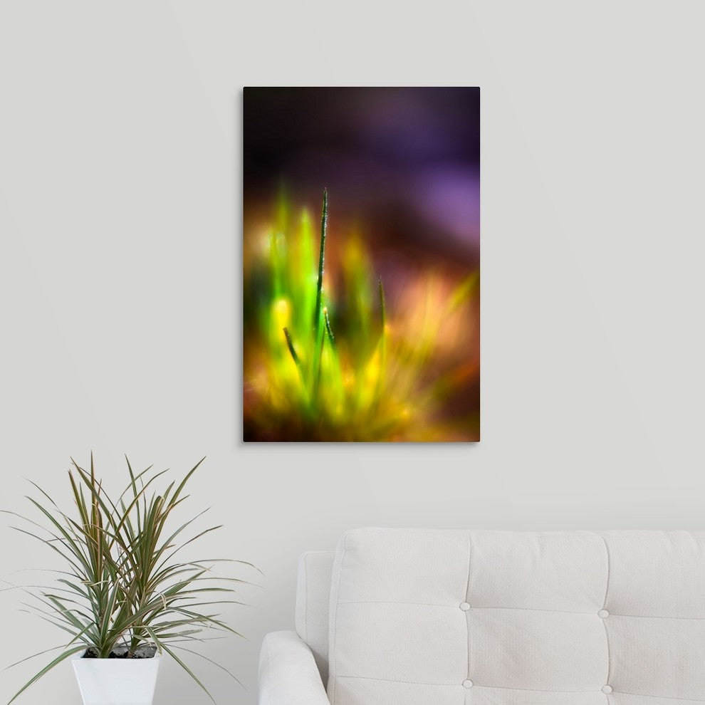 "Dew On Grass" Wrapped Canvas Art Print, 16"x24"x1.5"