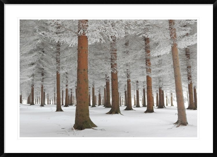 "In White" Framed Digital Print by Dragisa Petrovic, 44x32"