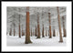 "In White" Framed Digital Print by Dragisa Petrovic, 44x32"