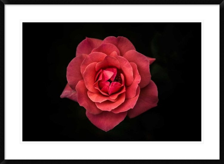 "Simplicity Is Beauty" Framed Digital Print by Rui Boino, 38"x28"