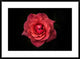 "Simplicity Is Beauty" Framed Digital Print by Rui Boino, 38"x28"