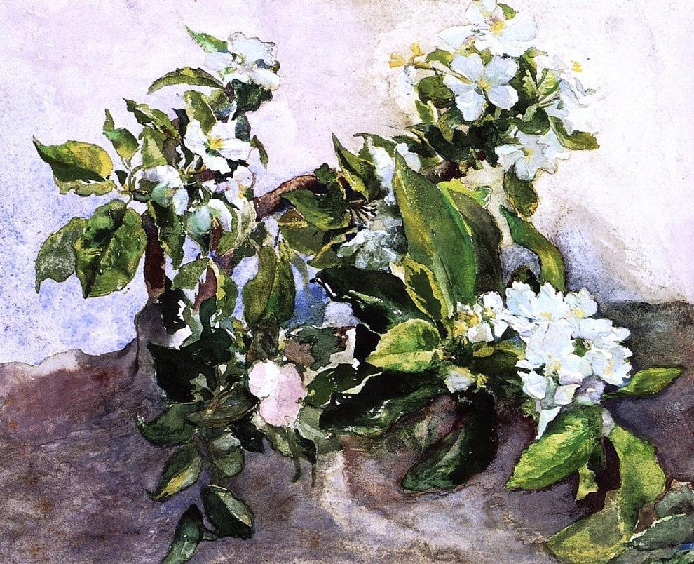John La Farge Apple Blossoms, 20"x25" Wall Decal Print